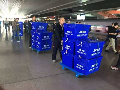 中國鐵路五年藍圖 2020年高鐵里程達3萬公里，貨物運輸代理體系同步優化